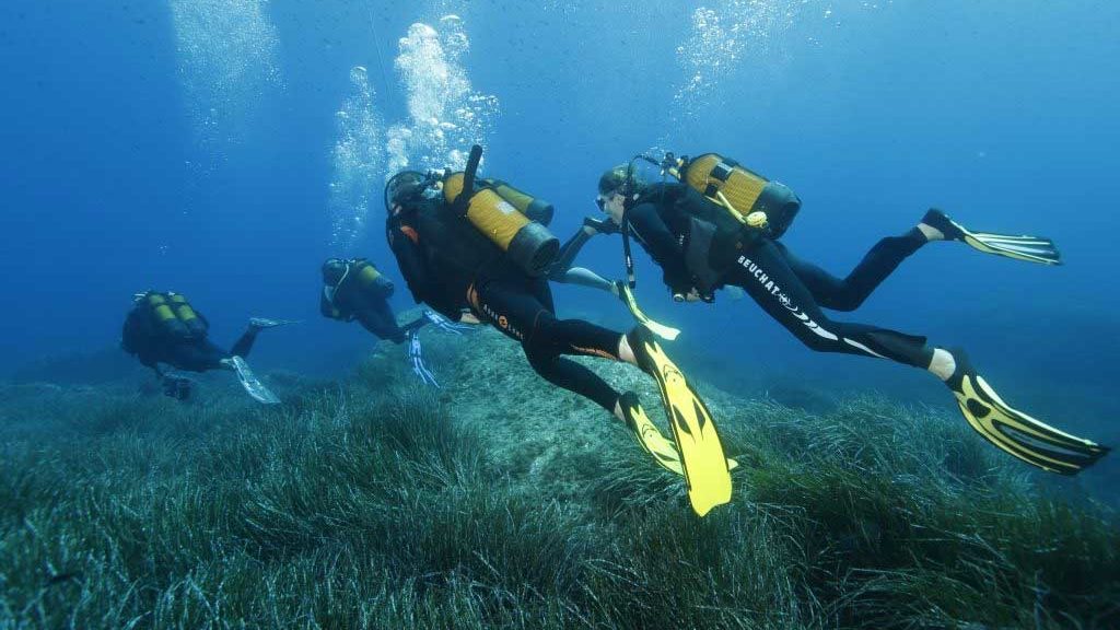 La Palanquee Soldes Magasin -La Palanquee Soldes Magasin palanquee edited